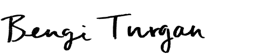 Bengi Turgan