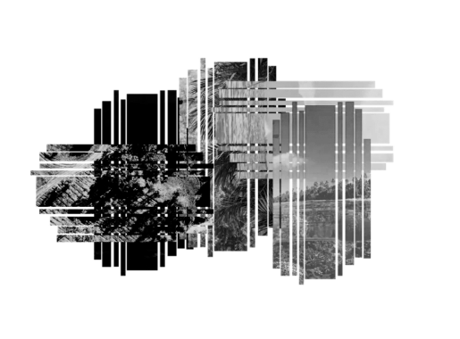 C3 Lab
