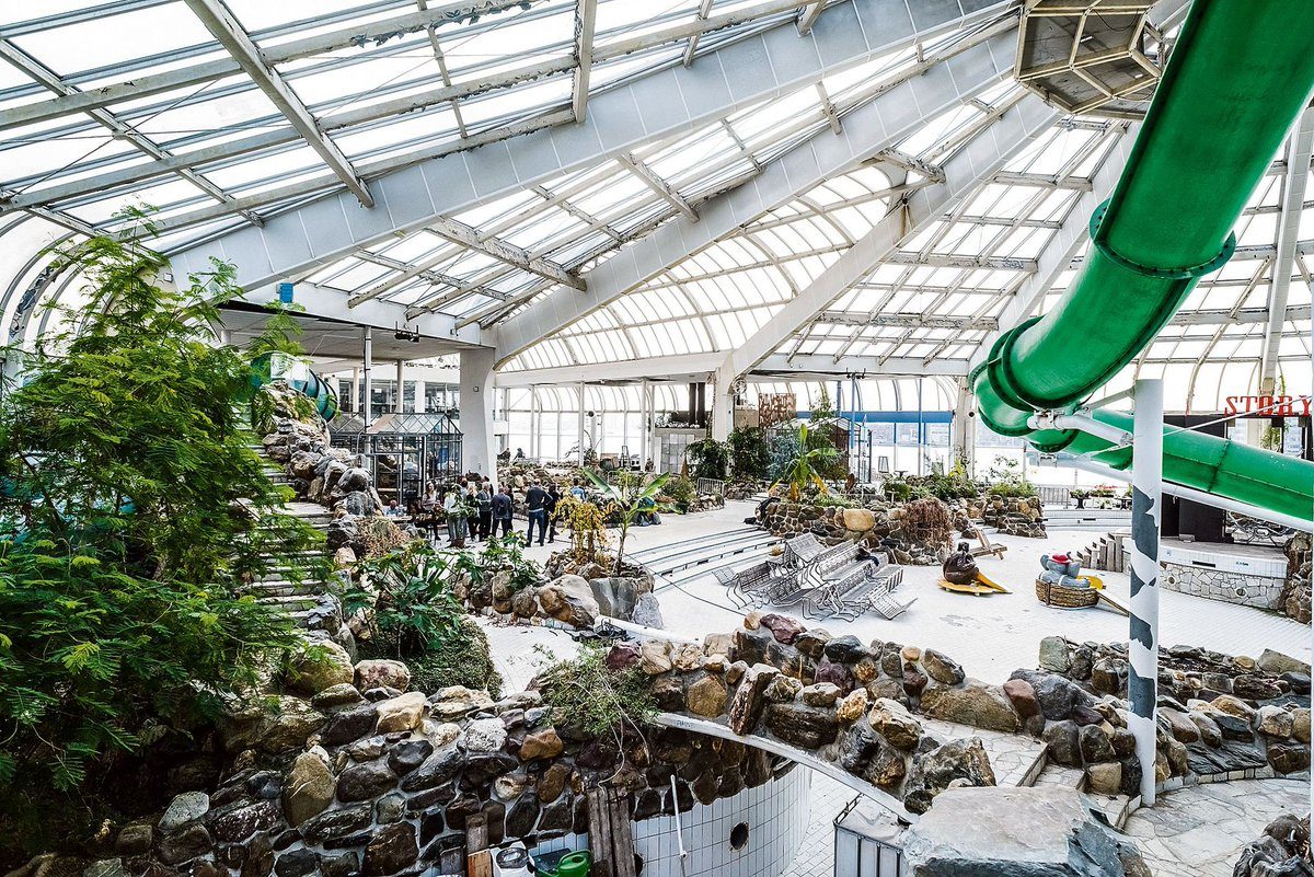 Rotterzwam: Growing mushrooms in an abandoned swimming pool in Rotterdam, The Netherlands