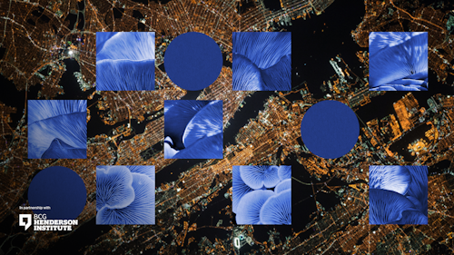 The Natural Organization: Mycelium, Microbes, and Regeneration