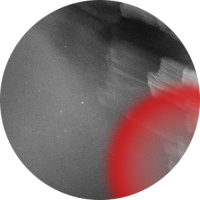 Planetary Citizenship