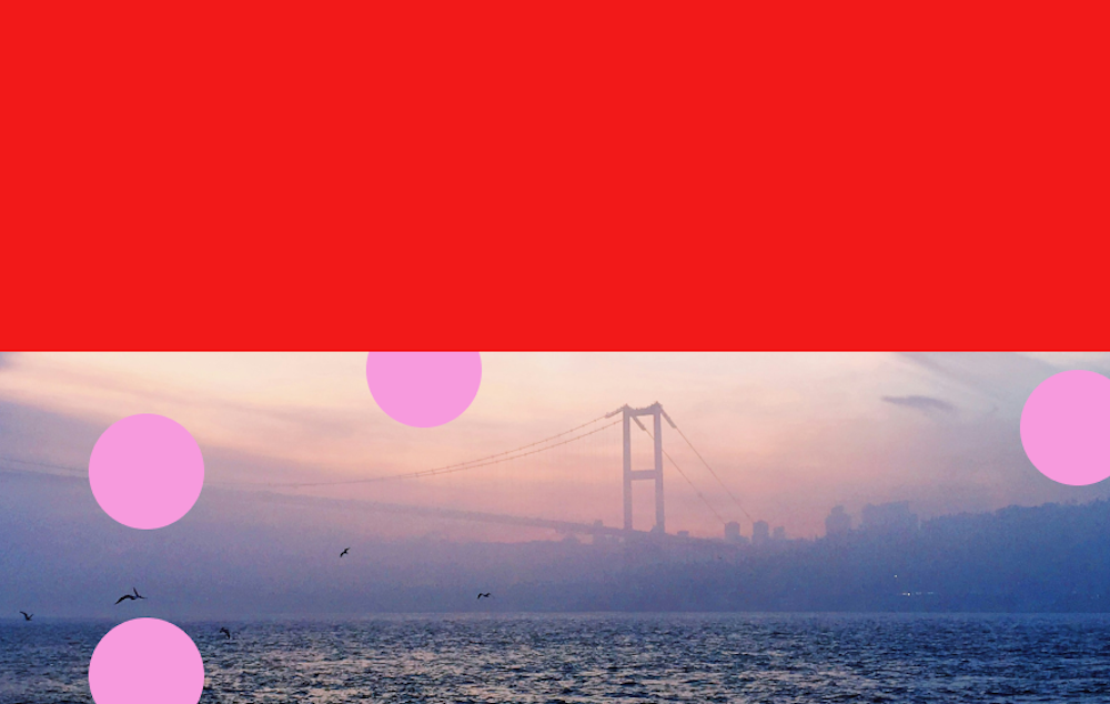 The Poly Opp Website monthly event istanbul