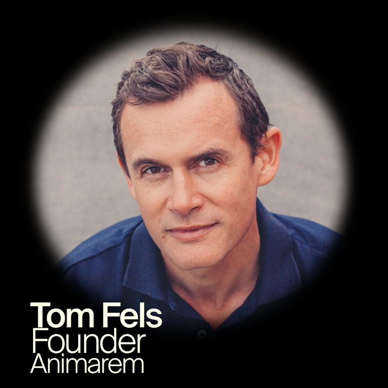 Tom Fels