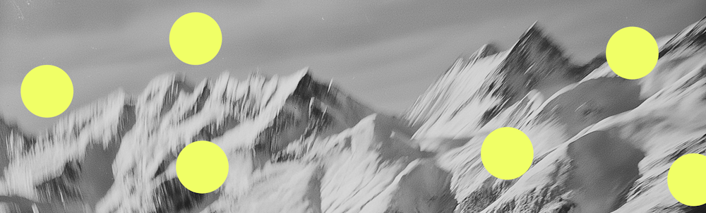 Web banner davos image