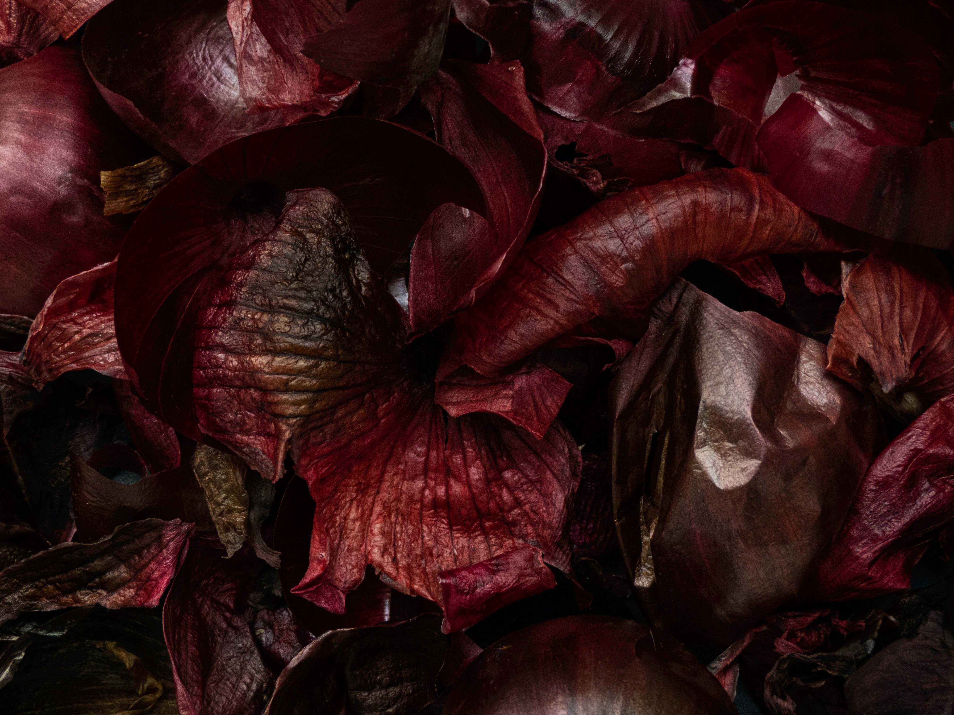 Photo by FOODISM: Burnt onion skins to make ash preventing food waste