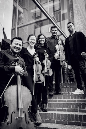 House String Quartet